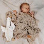 Bamboo Baby Blanket <b> Fema </b> <em>Cappuccino </em> - Image 2