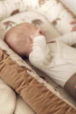 Baby Bed Nest 0-6 <em> Temo </em> - Image 22