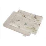 Poduszka Minky <b> dla niemowlaka 40 x 30 cm </b> <em> Birdsong </em>