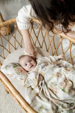 Baby Head Support Pillow <em> Little Farm </em> - Image 6