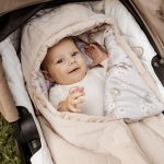 Pram And Car Seat <b>Sleeping Bag</b> <em> Birdsong </em> - Image 2