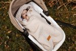 Pram And Car Seat <b>Sleeping Bag</b> <em> Birdsong </em> - Image 52