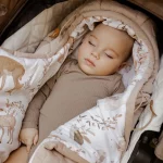 Śpiworek <b> do wózka i fotelika 2w1 0-10 mies. </b> <em>  Forest Friends </em> - obrazek 24