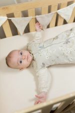 Śpiworek do spania <b> 2.5 TOG 6-18 mies. </b> <em> Birdsong </em> - obrazek 22