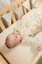 Śpiworek 1.0 TOG <b> dla niemowlaka 6-18 mies. </b> <em> Dreamland </em> - obrazek 13