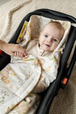 Baby Spring Car Seat Swaddle <em> Little Farm </em> - Image 5