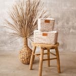 Storage Box L <em> Herbs </em> - Image 3