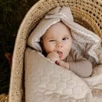 Baby Car Seat Swaddle <em> Herbs </em> - Image 9