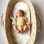 Cotton Pram Fitted Sheet 70x45 cm<em> Happy Goose </em> - Image 6