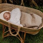 Warm Minky <b> Baby Blanket 75 x 90 cm </b> <em> Herbs </em> - Image 3