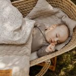 Minky Baby Pillow 40 x 30 cm <em> Birdsong </em> - Image 3
