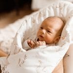 Cone Coverlet <em> Happy Goose </em> - Image 7