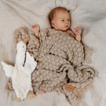 Noworodek leży pod kocykiem bambusowym Fema w kolorze cappuccino obok pluszowej gęsi