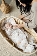 Baby Spring Car Seat Swaddle <em> Forest Friends </em> - Image 16