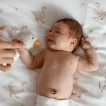 Bamboo Muslin Swaddle <b>100x120 cm</b><em> Happy Goose</em> - Image 3